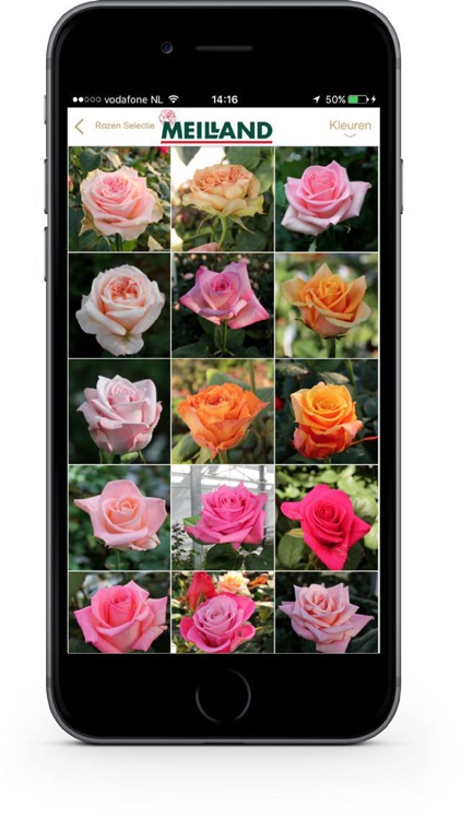 Meilland | Rozen Selectie screenshot-3