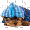 Cute Puppy Jigsaw Quest - Pet Puzzle Game for Kids & Girly Girl Princess