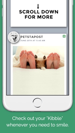 Petstapost(圖2)-速報App