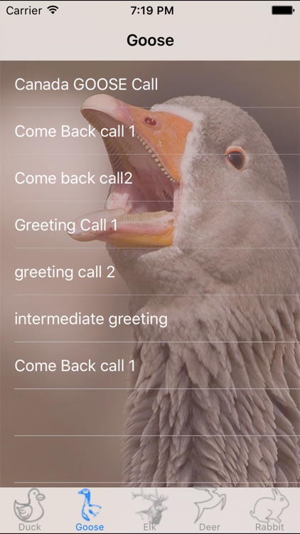 Hunting Calls Super