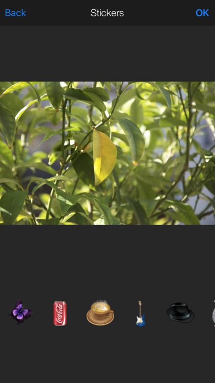 iPhoto Editor Plus - Blemish & Crop Photo Edit, Color Fil