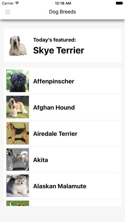 Dog Breeds HD Wallpapers
