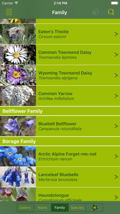 Rockies AlpineFlower Finder – a field guide to identify the wildflowers of the Rocky Mountains