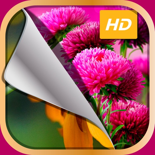HD Flower Wallpaper.s – Beautiful Floral Themes and Custom Lock Sreen Background.s