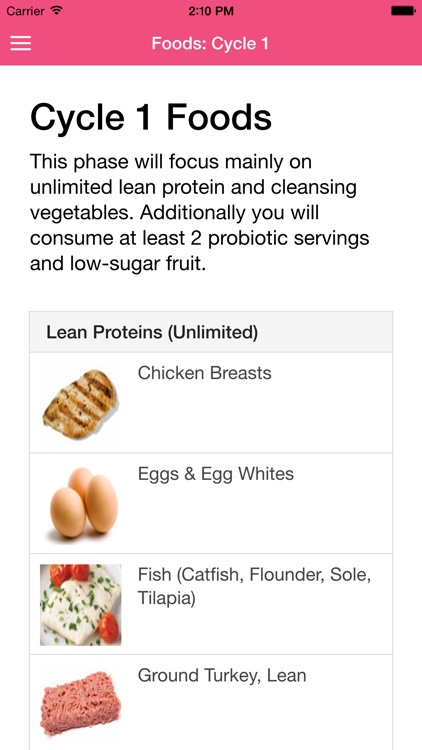 17 Day Diet Guide screenshot-3
