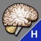 The Miami Emergency Neurologic Deficit (MEND) examination is a focused neurologic assessment tool to aid healthcare providers in rapid identification and initial management of patients with stroke