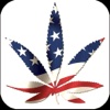 The Cannabis Daily: Marijuana News and Social Network