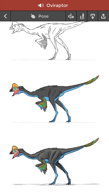 Pose & Draw Dinosaurs screenshot-4