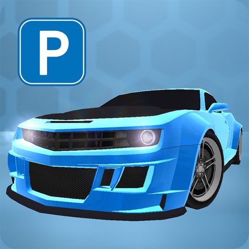 Car Parking Lite 3D Icon