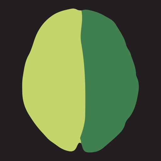 Split Brain Icon
