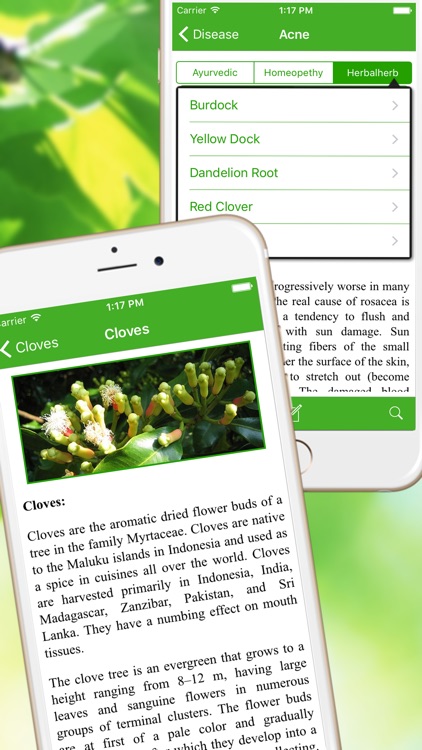 Medicinal Herbal Plants & Cures Herbs