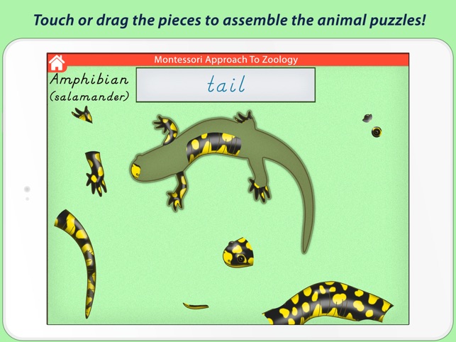 Parts Of Animals (Vertebrates) LITE - A Montessori Approach (圖5)-速報App