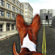 Activities of Dog In City Simulator