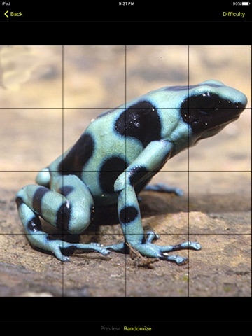 Frog Puzzles Extreme! XL Free screenshot 2