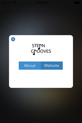 Stern Grooves screenshot 4