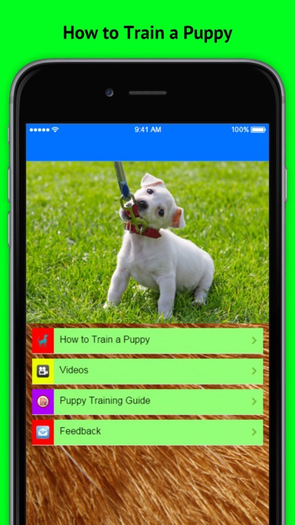 How to Train a Puppy - House Train a Puppy When You Work All Day