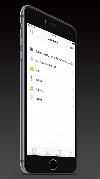 Downloads Plus - Downloader Manager for Free