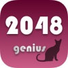 2048 genius