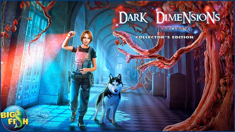 Dark Dimensions: Homecoming - A Hidden Object Mystery (Full) screenshot-4