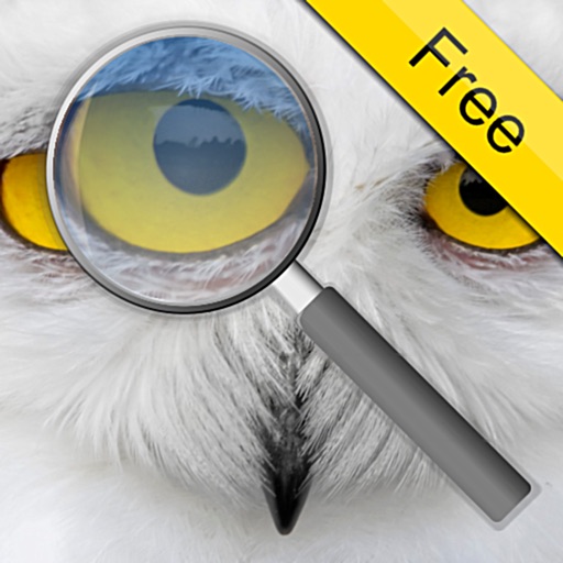 Photo Loupe Free iOS App