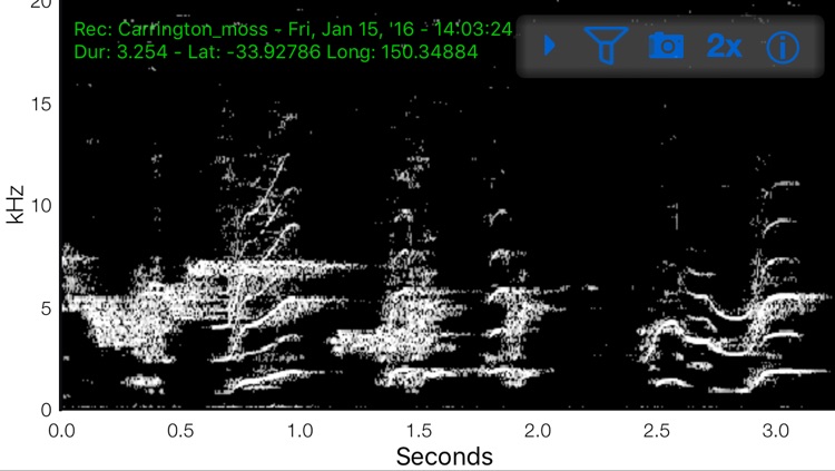 Sonocord