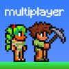 Multiplayer for Terraria