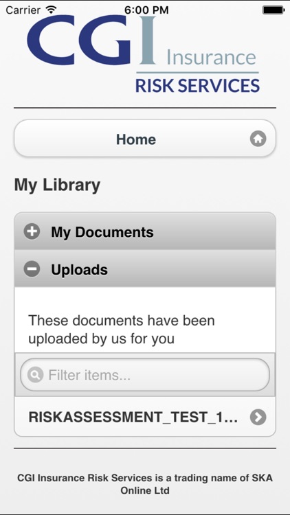 CGI Insurance Risk Services