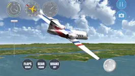 Game screenshot Flight Simulator Washington DC hack