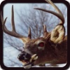 2016 Deer Hunting Simulator Pro