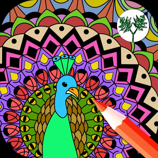 Love Birds Art Class: Stress Relieving Coloring Books for Adults iOS App