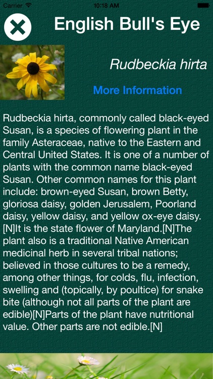 Plant Dictionary - All Information About A - Z Common Species Of Plant