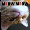 Meow Meow - a Magazine full of Funny Cats Videos and more