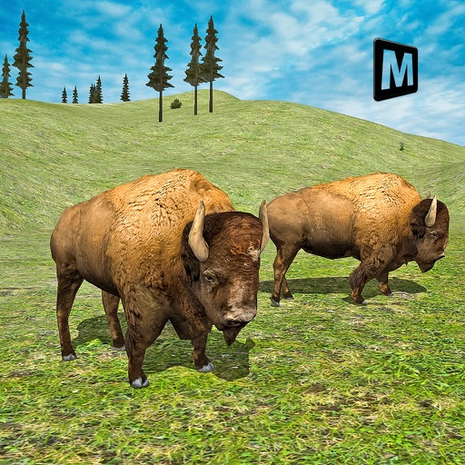 Angry Bison American Buffalo Simulator iOS App