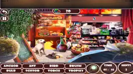 Game screenshot Mystery of Different Places Hidden Objects apk