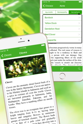 Natural Ayurvedic Healer Free screenshot 3