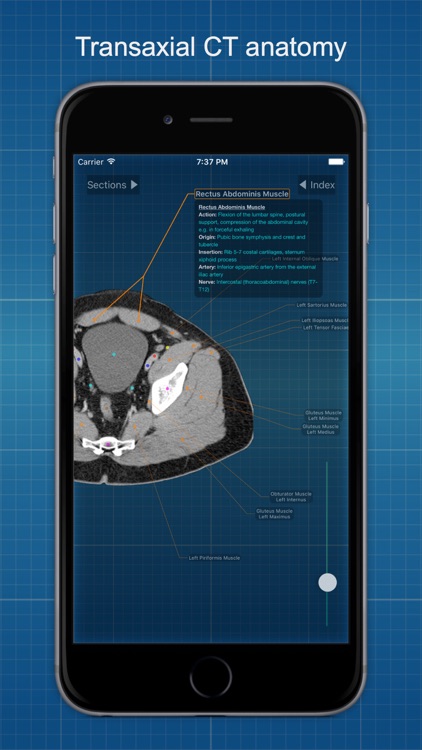 X-Anatomy Basic screenshot-0