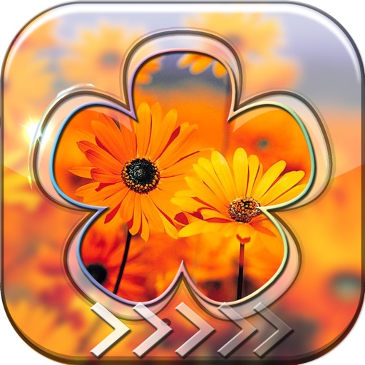 BlurLock - Flowers in the Garden : Blur Lock Screen Photo Maker Wallpapers Pro