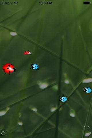 Ladybug Fighter screenshot 2