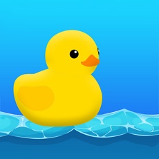 Activities of Floating Duck