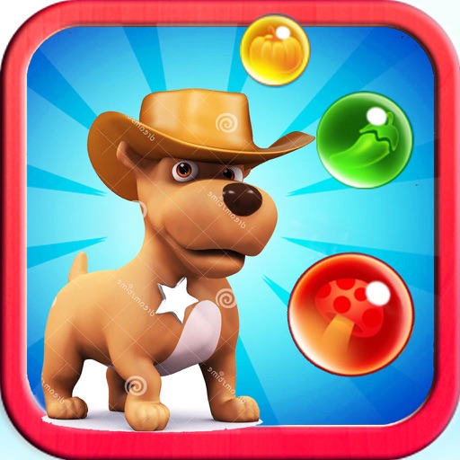 Pet Bubble Shooter 3 Icon