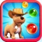 Pet Bubble Shooter 3