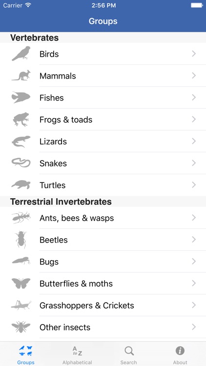 Field Guide to NSW Fauna