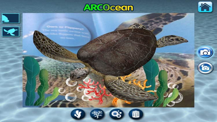 ARCOCEAN - ARC OCEAN screenshot-4