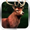 Wild Big Buck Deer Hunt Pro : King of White Tail Hunting Simulator Reloaded