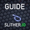Guide for Slither.io - Unlock Snake Skins