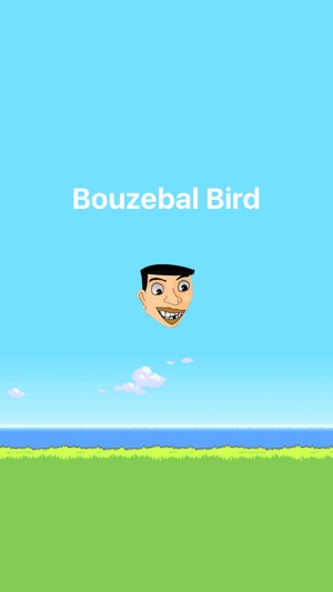 Bouzebal Bird(圖1)-速報App