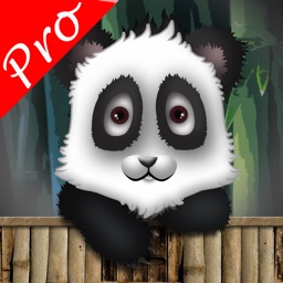 Talking Friend - Panda 3D Pro