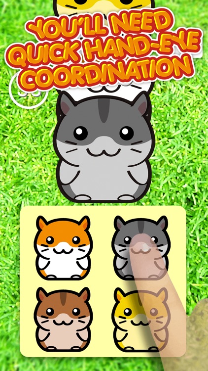 Hamster Land - Cute Pets Hamsters Column Matches Up Games on the App Store