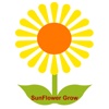 Sunflower Grow