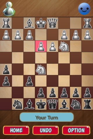 Amazing Chess Game. Train for Chess. screenshot 3